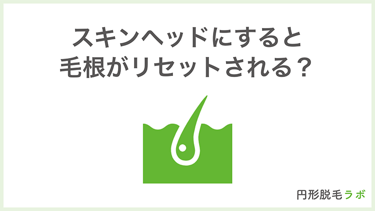 スキンヘッドにすると毛根がリセットされる?