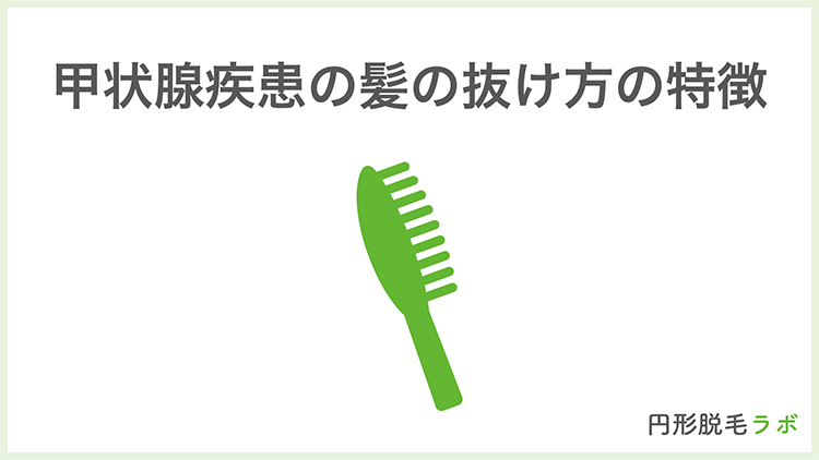 甲状腺疾患の髪の抜け方の特徴